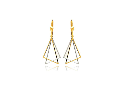 2 Tone Plated | Fashion Earrings